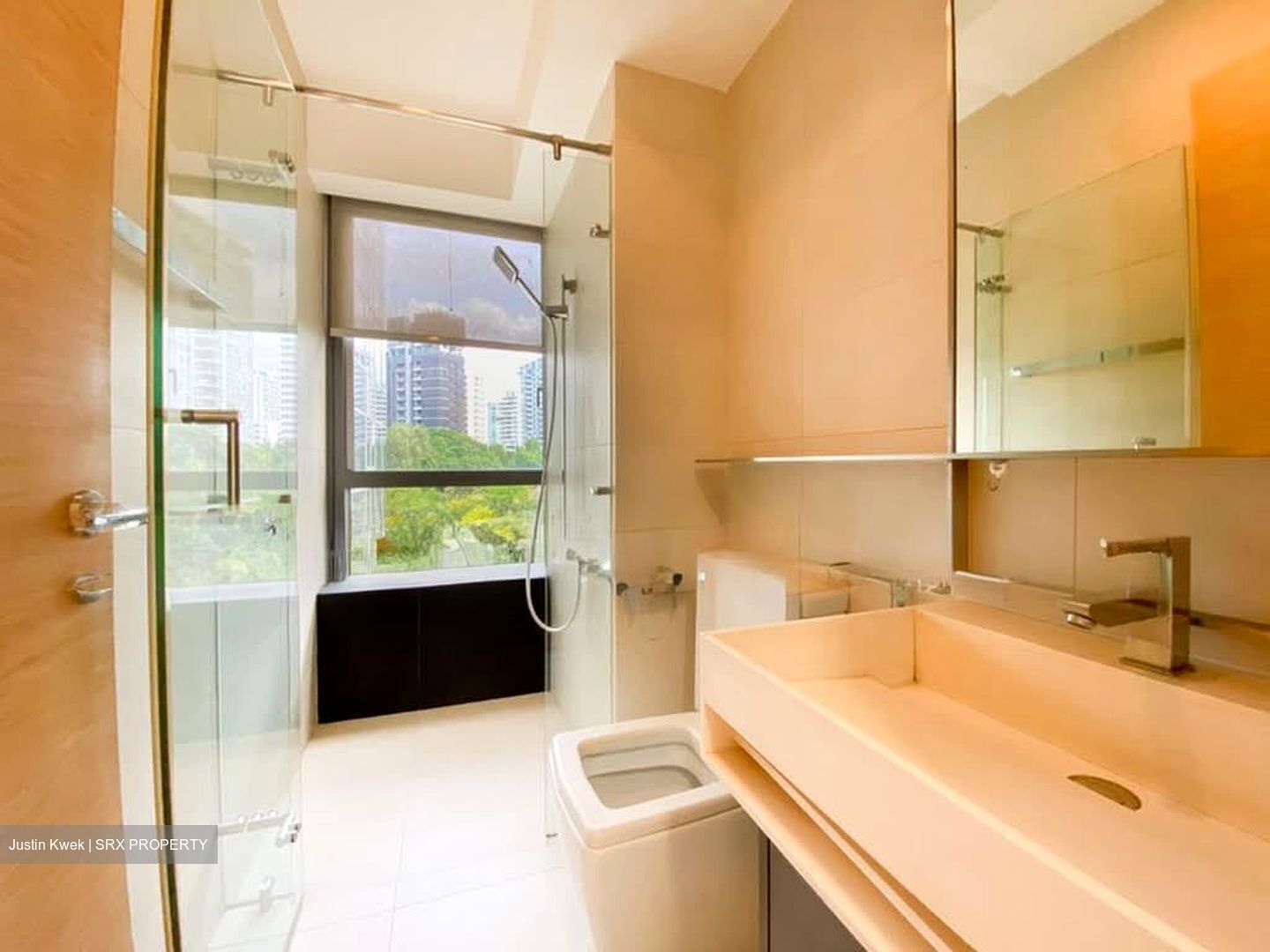 SilverSea (D15), Condominium #595110261